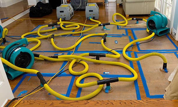 Professional Emergency Water Removal technician working in Tobaccoville, NC